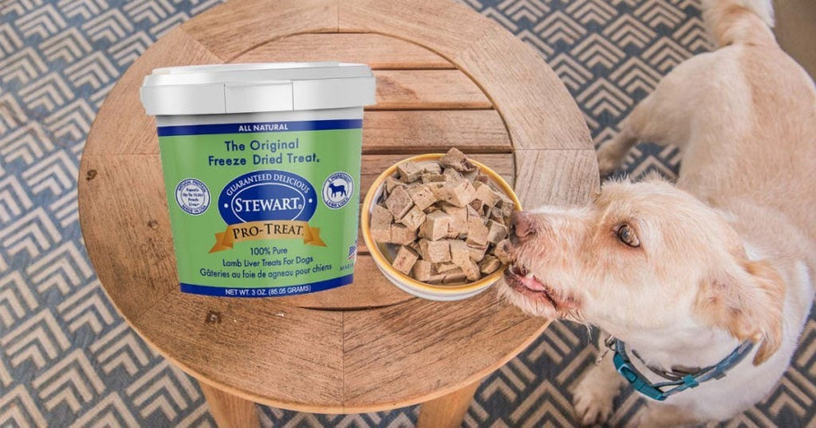 Stewart Freeze Dried Dog Treats Only $1.65 at Amazon